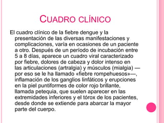 CUADRO CLÍNICO
El cuadro clínico de la fiebre dengue y la
  presentación de las diversas manifestaciones y
  complicaciones, varía en ocasiones de un paciente
  a otro. Después de un período de incubación entre
  5 a 8 días, aparece un cuadro viral caracterizado
  por fiebre, dolores de cabeza y dolor intenso en
  las articulaciones (artralgia) y músculos (mialgia) —
  por eso se le ha llamado «fiebre rompehuesos»—,
  inflamación de los ganglios linfáticos y erupciones
  en la piel puntiformes de color rojo brillante,
  llamada petequia, que suelen aparecer en las
  extremidades inferiores y el tórox de los pacientes,
  desde donde se extiende para abarcar la mayor
  parte del cuerpo.
 