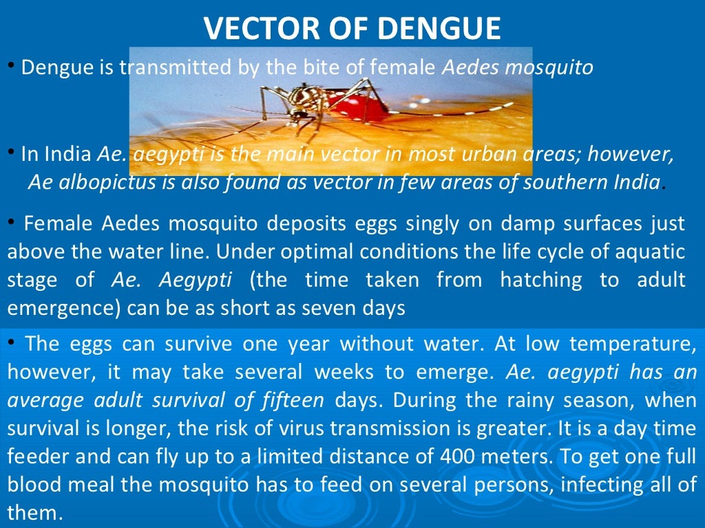 Dengue Ppt dengue-ppt