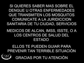 SI QUIERES SABER MAS SOBRE EL
 DENGUE U OTRAS ENFERMEDADES
 QUE TRANSMITEN LOS MOSQUITOS
  COMUNICATE A LA JURIDICCION
SANITARIA DE TU CIUDAD, SERVICIOS
MEDICOS DE ALCAN, IMSS, ISSTE, O A
   LOS CENTROS DE SALUD DEL
            ESTADO
  ELLOS TE PUEDEN GUIAR PARA
PREVENIR TAN TERRIBLE SITUACIÒN
    GRACIAS POR TU ATENCIÒN
 