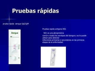 Pruebas rápidas
prueba rápida dengue IgG/IgM

                               Pruebas rapida antigeno NS1

                                 NS1 es una glicoproteína
                               común a todos los serotipos del dengue y se la puede
                               utilizar para detectar
                               infecciones primarias o secundarias en las primeras
                               etapas de la enfermedad.
 