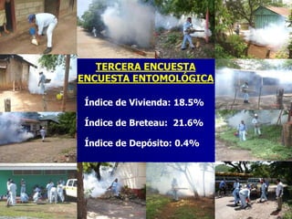 TERCERA ENCUESTA
ENCUESTA ENTOMOLÓGICA

 Índice de Vivienda: 18.5%

 Índice de Breteau: 21.6%

 Índice de Depósito: 0.4%
 