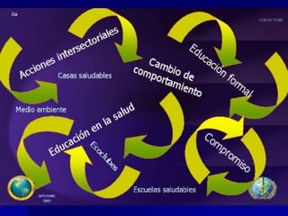 Nuevo Modelo de Trabajo:

La Estrategia de Gestión Integrada (EGI) – Dengue


Orientado para la prevención y control del Dengue con la
participación del Grupo Técnico de Dengue Internacional (GT-
Dengue internacional) y expertos nacionales en epidemiología,
entomología, atención al paciente, laboratorio, comunicación
social y medio ambiente.
 