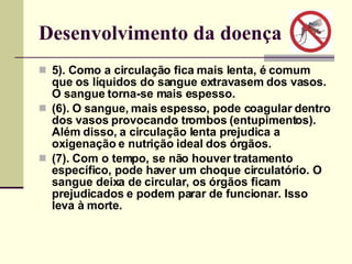 Desenvolvimento da doença 5). Como a circulação fica mais lenta, é comum que os líquidos do sangue extravasem dos vasos. O sangue torna-se mais espesso.  (6). O sangue, mais espesso, pode coagular dentro dos vasos provocando trombos (entupimentos). Além disso, a circulação lenta prejudica a oxigenação e nutrição ideal dos órgãos.  (7). Com o tempo, se não houver tratamento específico, pode haver um choque circulatório. O sangue deixa de circular, os órgãos ficam prejudicados e podem parar de funcionar. Isso leva à morte.   