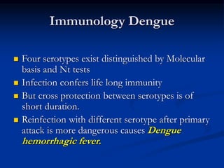 Immunology Dengue
 Four serotypes exist distinguished by Molecular
basis and Nt tests
 Infection confers life long immunity
 But cross protection between serotypes is of
short duration.
 Reinfection with different serotype after primary
attack is more dangerous causes Dengue
hemorrhagic fever.
 