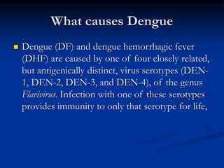 What causes Dengue
 Dengue (DF) and dengue hemorrhagic fever
(DHF) are caused by one of four closely related,
but antigenically distinct, virus serotypes (DEN-
1, DEN-2, DEN-3, and DEN-4), of the genus
Flavivirus. Infection with one of these serotypes
provides immunity to only that serotype for life,
 