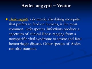 Aedes aegypti – Vector
 Aedes aegypti, a domestic, day-biting mosquito
that prefers to feed on humans, is the most
common Aedes species. Infections produce a
spectrum of clinical illness ranging from a
nonspecific viral syndrome to severe and fatal
hemorrhagic disease. Other species of Aedes
can also transmit.
 