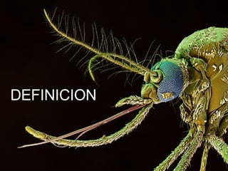 DEFINICION 