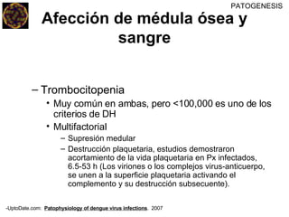 Trombocitopenia Muy común en ambas, pero <100,000 es uno de los criterios de DH Multifactorial Supresión medular Destrucción plaquetaria, estudios demostraron acortamiento de la vida plaquetaria en Px infectados, 6.5-53 h (Los viriones o los complejos virus-anticuerpo, se unen a la superficie plaquetaria activando el complemento y su destrucción subsecuente). Afección de médula ósea y sangre PATOGENESIS -UptoDate.com:  Patophysiology of dengue virus infections .  2007 