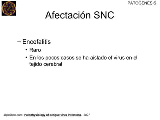 Encefalitis Raro En los pocos casos se ha aislado el virus en el tejido cerebral Afectación SNC PATOGENESIS -UptoDate.com:  Patophysiology of dengue virus infections .  2007 