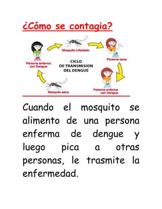 ¿Cómo se contagia?
Cuando el mosquito se
alimento de una persona
enferma de dengue y
luego pica a otras
personas, le trasmite la
enfermedad.