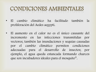 • El cambio climático ha facilitado también la
proliferación del Aedes aegypti.
• El aumento en el calor no es el único causante del
incremento en las infecciones transmitidas por
vectores; también las inundaciones y sequías causadas
por el cambio climático permiten condiciones
adecuadas para el desarrollo de insectos; por
ejemplo, el agua queda estancada formando charcos
que son incubadores ideales para el mosquito”.
 