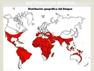 DISTRIBUCIÓN MUNDIAL
 