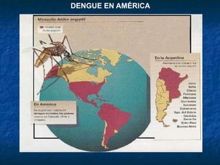 DENGUE EN AMÉRICA
 