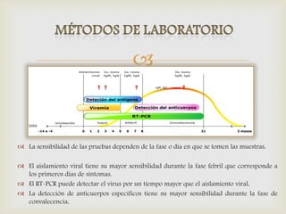 
 La sensibilidad de las pruebas dependen de la fase o día en que se tomen las muestras.
 El aislamiento viral tiene su mayor sensibilidad durante la fase febril que corresponde a
los primeros días de síntomas.
 El RT-PCR puede detectar el virus por un tiempo mayor que el aislamiento viral.
 La detección de anticuerpos específicos tiene su mayor sensibilidad durante la fase de
convalecencia.
 