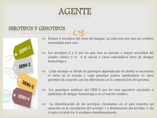  Existen 4 serotipos del virus del dengue. La infección por uno no confiere
inmunidad para otro.
 Los serotipos 2 y 3 son los que mas se asocian a mayor severidad del
cuadro clínico y el 4 se asocia a casos esporádicos leves de dengue
hemorrágico.
 Cada serotipo se divide en genotipos dependiendo de dónde se encuentra
el virus en el mundo y cada genotipo podría subdividirse en intra
genotpos de acuerdo con las diferencias en la composición del genoma.
 Los genotipos asiáticos del DEN-2 son los mas agresivos asociados a
epidemias de dengue hemorrágico en el sureste asiático.
 La identificación de los serotipos circulantes en el país muestra un
aumento en la circulación del serotipo 1 y disminución del serotipo 3. En
el país circulan los 4 serotipos simultáneamente.
 