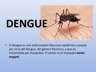 DENGUEDENGUE
• El dengue es una enfermedad infecciosa epidémica causada
por virus del dengue, del género flavivirus, y que es
transmitida por mosquitos. El vector es el mosquito Aedes
aegypti
 