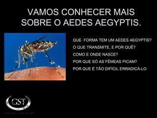 VAMOS CONHECER MAIS
SOBRE O AEDES AEGYPTIS.
QUE FORMA TEM UM AEDES AEGYPTIS?
O QUE TRANSMITE, E POR QUÊ?
COMO E ONDE NASCE?
POR QUE SÓ AS FÊMEAS PICAM?
POR QUE É TÃO DIFÍCIL ERRADICÁ-LO
 