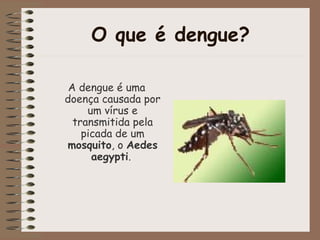 A dengue é uma
doença causada por
um vírus e
transmitida pela
picada de um
mosquito, o Aedes
aegypti.
O que é dengue?
 