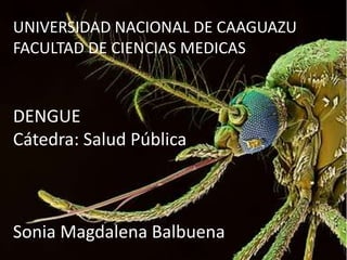 UNIVERSIDAD NACIONAL DE CAAGUAZU
FACULTAD DE CIENCIAS MEDICAS
DENGUE
Cátedra: Salud Pública
Sonia Magdalena Balbuena
 