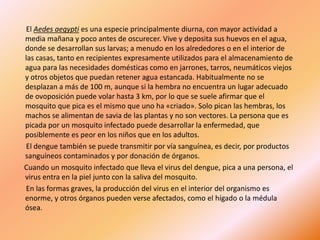 El Aedes aegypti es una especie principalmente diurna, con mayor actividad a
media mañana y poco antes de oscurecer. Vive y deposita sus huevos en el agua,
donde se desarrollan sus larvas; a menudo en los alrededores o en el interior de
las casas, tanto en recipientes expresamente utilizados para el almacenamiento de
agua para las necesidades domésticas como en jarrones, tarros, neumáticos viejos
y otros objetos que puedan retener agua estancada. Habitualmente no se
desplazan a más de 100 m, aunque si la hembra no encuentra un lugar adecuado
de ovoposición puede volar hasta 3 km, por lo que se suele afirmar que el
mosquito que pica es el mismo que uno ha «criado». Solo pican las hembras, los
machos se alimentan de savia de las plantas y no son vectores. La persona que es
picada por un mosquito infectado puede desarrollar la enfermedad, que
posiblemente es peor en los niños que en los adultos.
El dengue también se puede transmitir por vía sanguínea, es decir, por productos
sanguíneos contaminados y por donación de órganos.
Cuando un mosquito infectado que lleva el virus del dengue, pica a una persona, el
virus entra en la piel junto con la saliva del mosquito.
En las formas graves, la producción del virus en el interior del organismo es
enorme, y otros órganos pueden verse afectados, como el hígado o la médula
ósea.
 