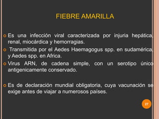 FIEBRE AMARILLA
Es una infección viral caracterizada por injuria hepática,
renal, miocárdica y hemorragias.
 Transmitida por el Aedes Haemagogus spp. en sudamérica,
y Aedes spp. en Africa.
 Virus ARN, de cadena simple, con un serotipo único
antigenicamente conservado.




Es de declaración mundial obligatoria, cuya vacunación se
exige antes de viajar a numerosos países.
27

 
