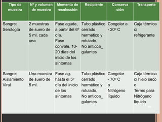 Tipo de
muestra

Nº y volumen
de muestra

Momento de
recolección

Sangre:
Serología

2 muestras
de suero de
5 ml. cada
una

Fase aguda,
a partir del 6º
día.
Fase
convale. 1020 días del
inicio de los
síntomas

Sangre:
Aislamiento
Viral

Una muestra Fase ag.
de suero de hasta el 5o
5 ml.
día del inicio
de los
síntomas

Recipiente

Conserva
ción

Transporte

Tubo plástico Congelar a
cerrado
- 20o C
hermético y
rotulado.
No anticoa_
gulantes

Caja térmica
c/
refrigerante

Tubo plástico
cerrado
hermético y
rotulado.
No anticoa_
gulantes

Caja térmica
c/ hielo seco
o
Termo para
Nitrógeno
líquido

Congelar
- 70o C
o
Nitrógeno
líquido

46

 