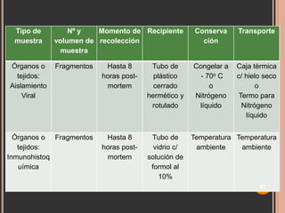 Tipo de
muestra

Nº y
Momento de Recipiente
volumen de recolección
muestra

Conserva
ción

Transporte

Fragmentos

Hasta 8
horas postmortem

Tubo de
plástico
cerrado
hermético y
rotulado

Congelar a
- 70o C
o
Nitrógeno
líquido

Caja térmica
c/ hielo seco
o
Termo para
Nitrógeno
líquido

Órganos o Fragmentos
tejidos:
Inmunohistoq
uímica

Hasta 8
horas postmortem

Tubo de
vidrio c/
solución de
formol al
10%

Órganos o
tejidos:
Aislamiento
Viral

Temperatura Temperatura
ambiente
ambiente

47

 