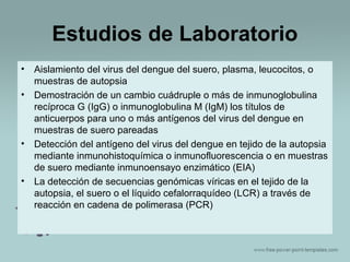 Estudios de Laboratorio
•
•

•

•

Aislamiento del virus del dengue del suero, plasma, leucocitos, o
muestras de autopsia
Demostración de un cambio cuádruple o más de inmunoglobulina
recíproca G (IgG) o inmunoglobulina M (IgM) los títulos de
anticuerpos para uno o más antígenos del virus del dengue en
muestras de suero pareadas
Detección del antígeno del virus del dengue en tejido de la autopsia
mediante inmunohistoquímica o inmunofluorescencia o en muestras
de suero mediante inmunoensayo enzimático (EIA)
La detección de secuencias genómicas víricas en el tejido de la
autopsia, el suero o el líquido cefalorraquídeo (LCR) a través de
reacción en cadena de polimerasa (PCR)

 