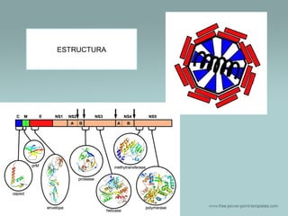 ESTRUCTURA

 
