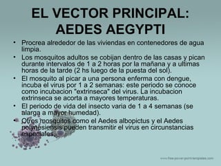 EL VECTOR PRINCIPAL:
AEDES AEGYPTI
• Procrea alrededor de las viviendas en contenedores de agua
limpia.
• Los mosquitos adultos se cobijan dentro de las casas y pican
durante intervalos de 1 a 2 horas por la mañana y a ultimas
horas de la tarde (2 hs luego de la puesta del sol).
• El mosquito al picar a una persona enferma con dengue,
incuba el virus por 1 a 2 semanas: este periodo se conoce
como incubacion "extrinseca" del virus. La incubacion
extrinseca se acorta a mayores temperaturas.
• El periodo de vida del insecto varia de 1 a 4 semanas (se
alarga a mayor humedad).
• Otros mosquitos como el Aedes albopictus y el Aedes
polynesiensis pueden transmitir el virus en circunstancias
especiales.

 