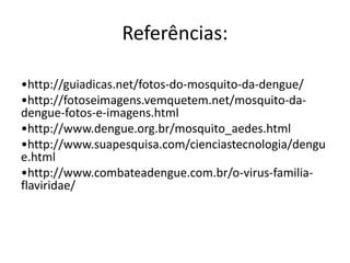 Referências:
•http://guiadicas.net/fotos-do-mosquito-da-dengue/
•http://fotoseimagens.vemquetem.net/mosquito-da-
dengue-fotos-e-imagens.html
•http://www.dengue.org.br/mosquito_aedes.html
•http://www.suapesquisa.com/cienciastecnologia/dengu
e.html
•http://www.combateadengue.com.br/o-virus-familia-
flaviridae/
 