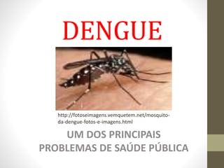 DENGUE
UM DOS PRINCIPAIS
PROBLEMAS DE SAÚDE PÚBLICA
http://fotoseimagens.vemquetem.net/mosquito-
da-dengue-fotos-e-imagens.html
 