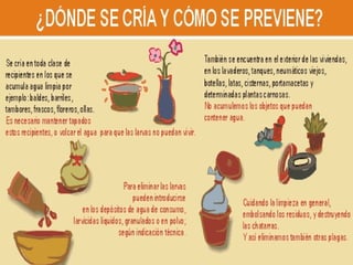 PREVENCION
 