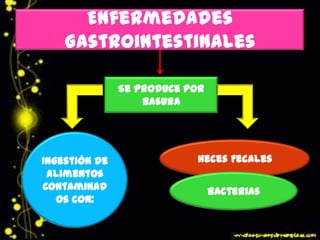 Enfermedades
Gastrointestinales
Se produce por
basura
Ingestión de
alimentos
Contaminad
os con:
Heces Fecales
Bacterias
 