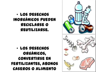• Los Desechos
Inorgánicos pueden
reciclarse o
reutilizarse.
• Los Desechos
orgánicos,
convertirse en
fertilizantes, abonos
caseros o alimento
 