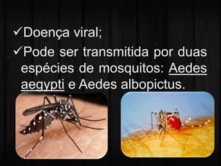 Doença viral; 
Pode ser transmitida por duas 
espécies de mosquitos: Aedes 
aegypti e Aedes albopictus. 
 