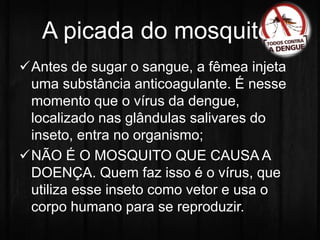 A picada do mosquito: 
Antes de sugar o sangue, a fêmea injeta 
uma substância anticoagulante. É nesse 
momento que o vírus da dengue, 
localizado nas glândulas salivares do 
inseto, entra no organismo; 
NÃO É O MOSQUITO QUE CAUSA A 
DOENÇA. Quem faz isso é o vírus, que 
utiliza esse inseto como vetor e usa o 
corpo humano para se reproduzir. 
 