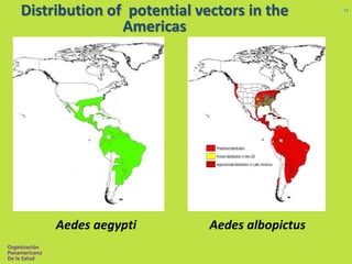 Distribution of potential vectors in the 
Organización 
Panamericana 
De la Salud 
14 
Americas 
Aedes aegypti Aedes albopictus 
 