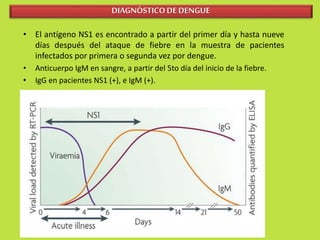 DIAGNÓSTICO DE DENGUE 
• El antígeno NS1 es encontrado a partir del primer día y hasta nueve 
días después del ataque de fiebre en la muestra de pacientes 
infectados por primera o segunda vez por dengue. 
• Anticuerpo IgM en sangre, a partir del 5to día del inicio de la fiebre. 
• IgG en pacientes NS1 (+), e IgM (+). 
 