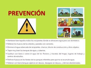 PREVENCIÓN 
 