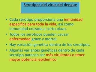 Serotipos del virus del dengue 
• Cada serotipo proporciona una inmunidad 
específica para toda la vida, así como 
inmunidad cruzada a corto plazo. 
• Todos los serotipos pueden causar 
enfermedad grave y mortal. 
• Hay variación genética dentro de los serotipos. 
• Algunas variantes genéticas dentro de cada 
serotipo parecen ser más virulentas o tener 
mayor potencial epidémico. 
 