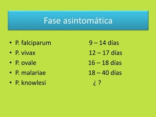 Fase asintomática 
• P. falciparum 9 – 14 días 
• P. vivax 12 – 17 días 
• P. ovale 16 – 18 días 
• P. malariae 18 – 40 días 
• P. knowlesi ¿ ? 
 