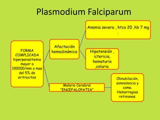 Plasmodium Falciparum 
FORMA 
COMPLICADA 
hiperparasitemia 
mayor a 
100000/mm o mas 
del 5% de 
eritrocitos 
Afectación 
hemodinámica 
Anemia severa , htco 20 ,hb 7 mg 
. 
Hipotensión , 
ictericia, 
hematuria 
,coluria. 
Malaria Cerebral 
“ENCEFALOPATIA” 
Obnubilación, 
somnolencia y 
coma. 
Hemorragias 
retinianas. 
 