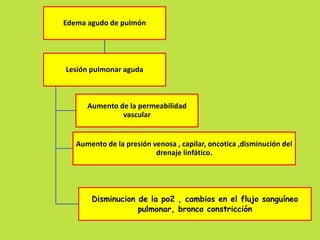 Edema agudo de pulmón 
Lesión pulmonar aguda 
Aumento de la permeabilidad 
vascular 
Aumento de la presión venosa , capilar, oncotica ,disminución del 
drenaje linfático. 
Disminucion de la po2 , cambios en el flujo sanguíneo 
pulmonar, bronco constricción 
 