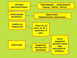 Síntomas 
gastrointestinales 
Hepatomegalia , esplenomegalia, 
nauseas, vómitos, diarrea. . 
Anormalidades 
metabólicas 
Hiponatremia , 
hipoalbuminemia,hipocalcemia. 
Cambios de 
temperatura fiebre de 39 
hasta de 42 C. 
sobreviene el 
coma. 
Hemorragia Coagulación 
intravascular 
diseminada 
Encías 
sangrantes 
,epixtasis,hemor 
ragia 
subconjuntival , 
petequias. 
 