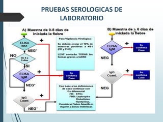 PRUEBAS SEROLOGICAS DE 
LABORATORIO 
• LA PRUEBA NS1 EN SANGRE, DENTRO DE LOS PRIMEROS 
3-4 DE LA FIEBRE (DETECTA VIREMIA) SOLAMENTE INDICA 
PRESENCIA DE LA ENFERMEDAD. 
• ELEVACIÓN CUATRO VECES O MAS DE TÍTULOS DE 
ANTICUERPO IGM E IGG EN SANGRE, A PARTIR DEL 7O DÍA. 
IGM INDICA PRIMOINFECCIÓN E IGG INDICA INFECCIÓN 
SECUNDARIA. 
• DETECCIÓN DE SECUENCIA GENÓMICA DEL VIRUS DEL 
DENGUE MEDIANTE LA PRUEBA DE PCR-RT. 
 