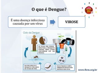 www.flem.org.br 
O que é Dengue? 
AO PICAR UMA PESSOA 
INFECTADA, O MOSQUITO 
CONTRAI VÍRUS E PODE 
CONTAMINAR ATÉ 300 
PESSOAS. 
NA FASE ADULTA O 
MOSQUITO TEM CERCA 
DE 45 DIAS DE VIDA 
ÁGUA PARADA E LIMPA 
AMBIENTES IDEAIS PARA 
DEPÓSITO DOS OVOS 
 