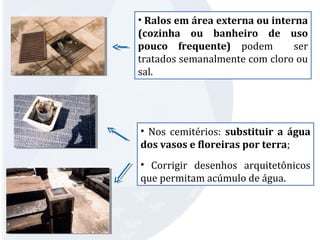 • Ralos em área externa ou interna 
(cozinha ou banheiro de uso 
pouco frequente) podem ser 
tratados semanalmente com cloro ou 
sal. 
• Nos cemitérios: substituir a água 
dos vasos e floreiras por terra; 
• Corrigir desenhos arquitetônicos 
que permitam acúmulo de água. 
 
