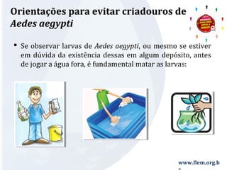 Orientações para evitar criadouros de 
Aedes aegypti 
 Se observar larvas de Aedes aegypti, ou mesmo se estiver 
em dúvida da existência dessas em algum depósito, antes 
de jogar a água fora, é fundamental matar as larvas: 
www.flem.org.b 
r 
 