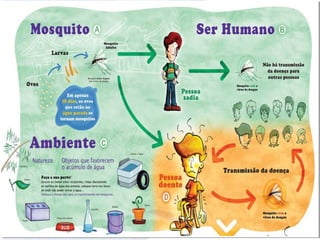 www.flem.org.br 
O que é Dengue? 
 